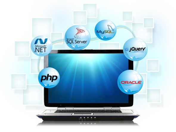 Choose Custom Software: The Winning Strategy for Sustainable Growth